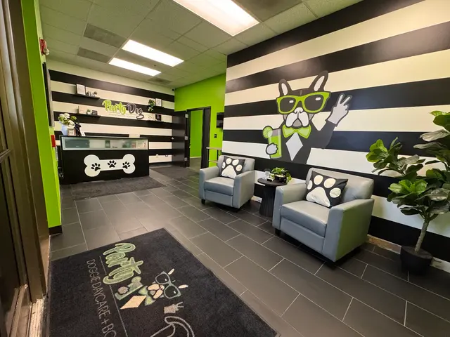 Party Dog Doggie Daycare and Boarding — photo from the business 8
