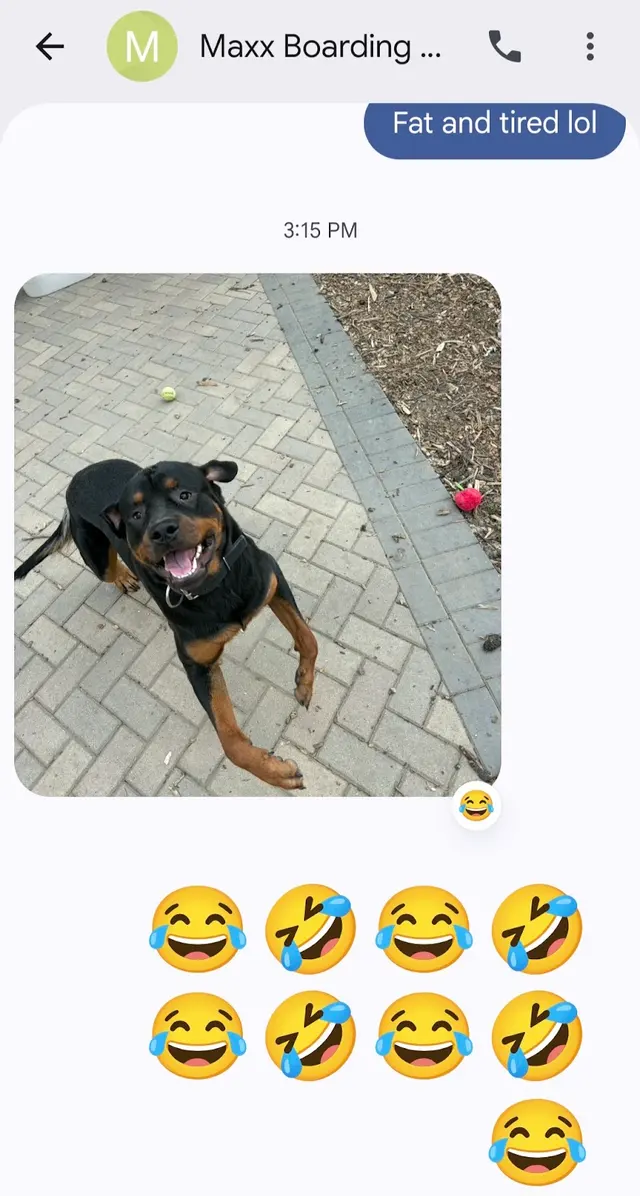 Customer photo from Chyna's review