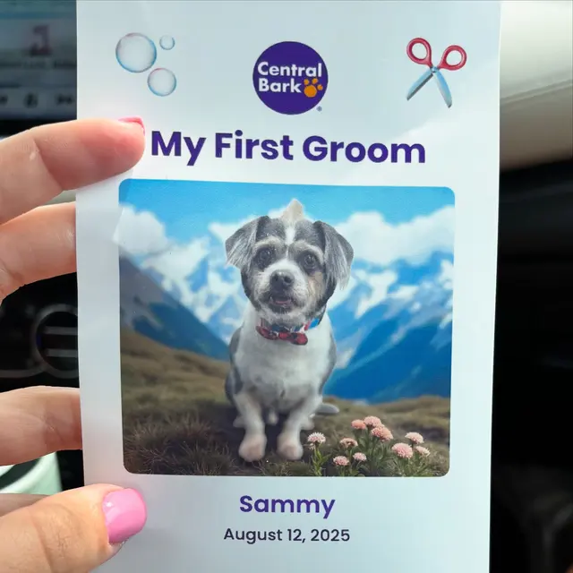 Customer photo from Emily's review