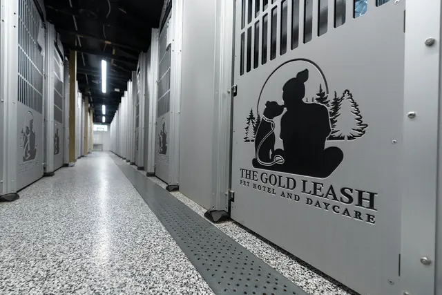 The Gold Leash Pet Hotel & Daycare — photo from the business 1