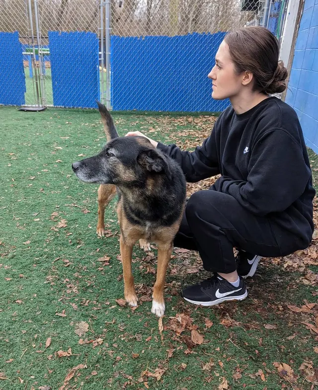 The Gold Leash Pet Hotel & Daycare — photo from the business 10