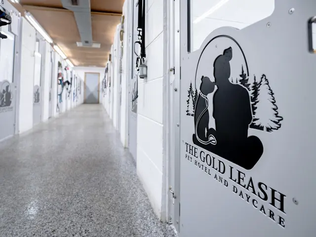 The Gold Leash Pet Hotel & Daycare — photo from the business 4