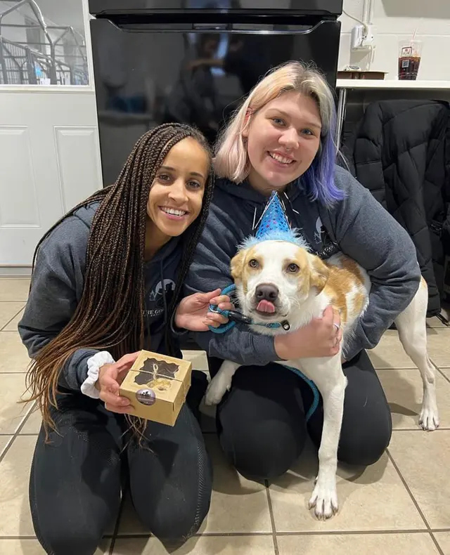 The Gold Leash Pet Hotel & Daycare — photo from the business 7