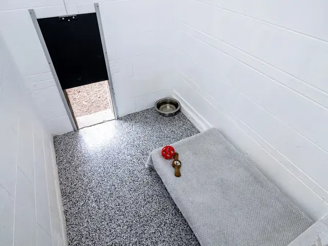 The Gold Leash Pet Hotel & Daycare — photo from the business 3
