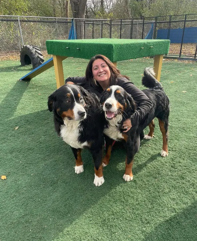 The Gold Leash Pet Hotel & Daycare — photo from the business 12
