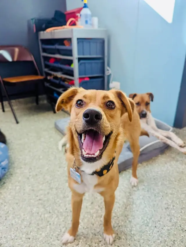 Pet Place — customer photo 1