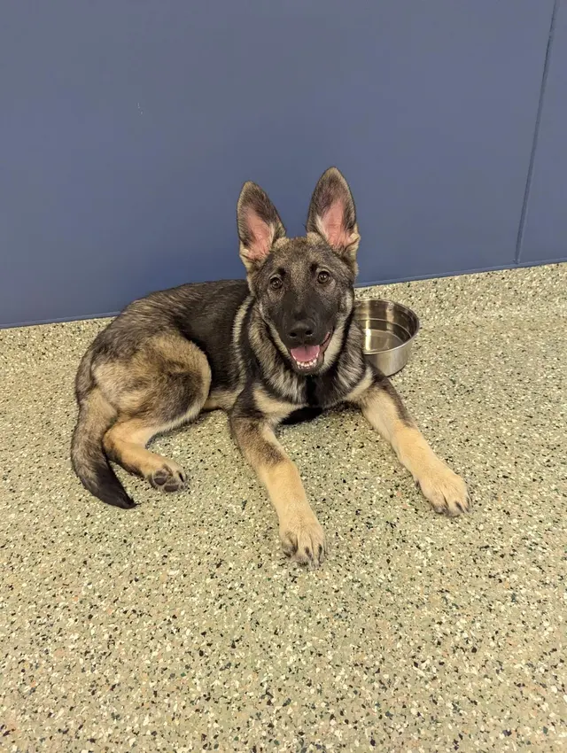 Pet Place — customer photo 5