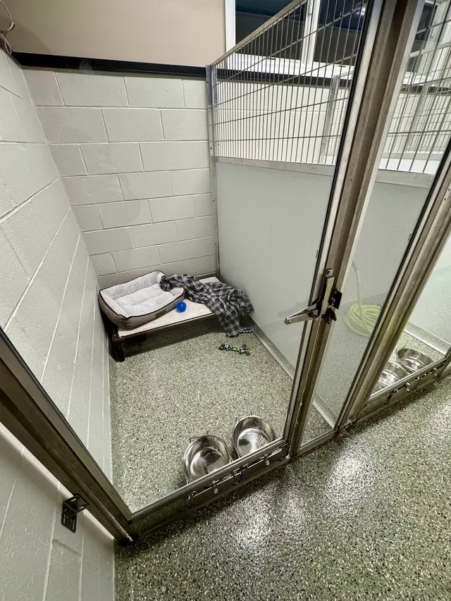 Pet Place — photo from the business 3