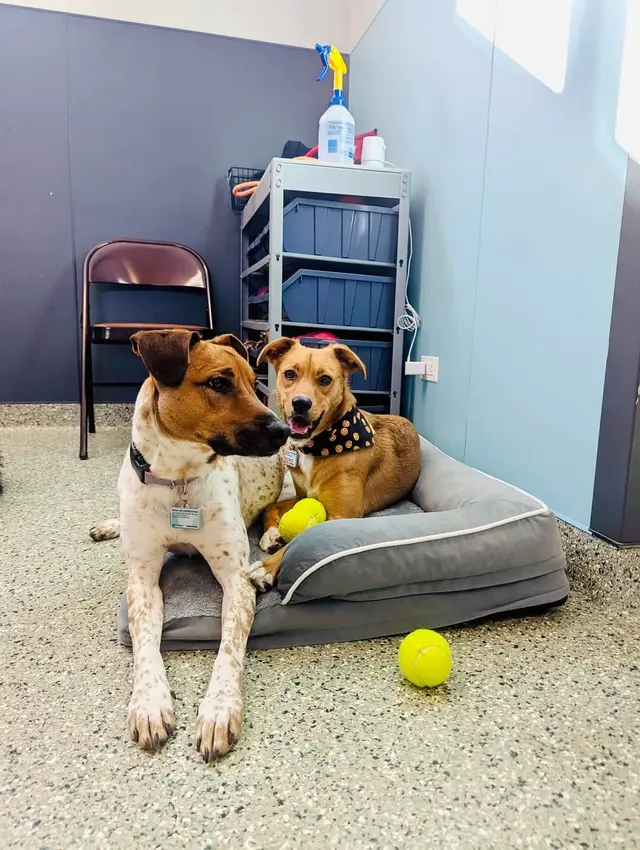 Pet Place — customer photo 2