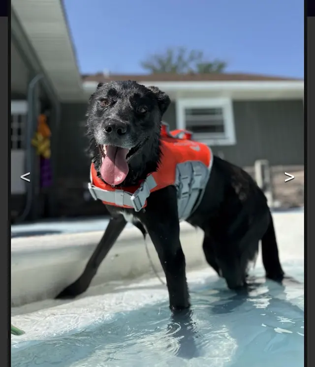 Customer photo from Holly's review