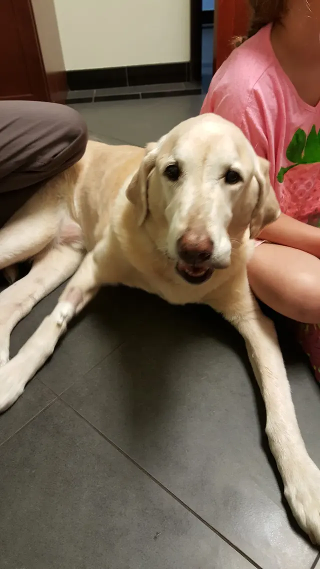CareVet of Brookville — customer photo 6