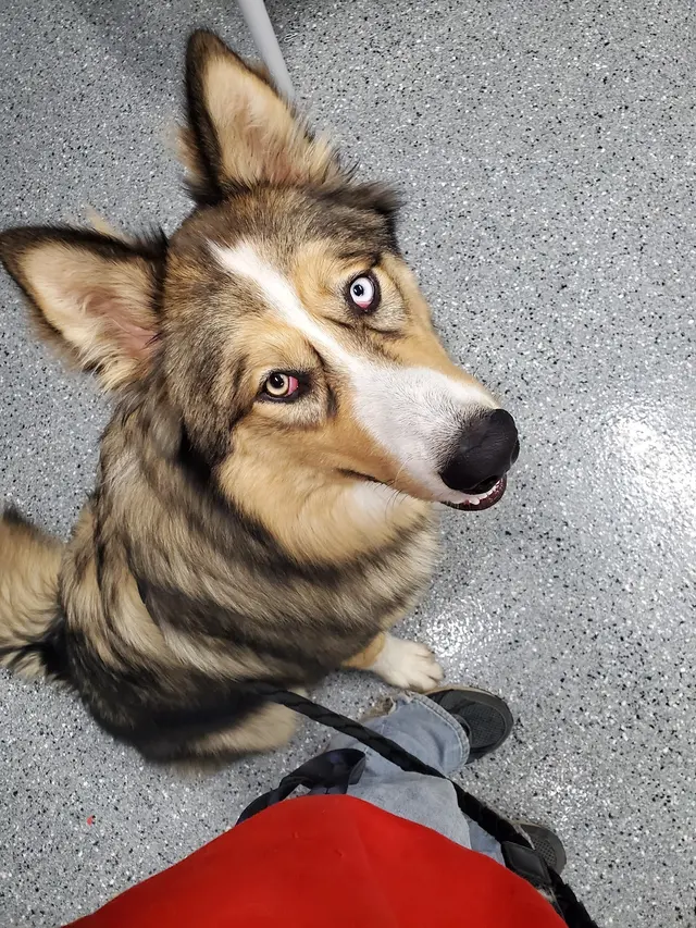 CareVet of Brookville — customer photo 5