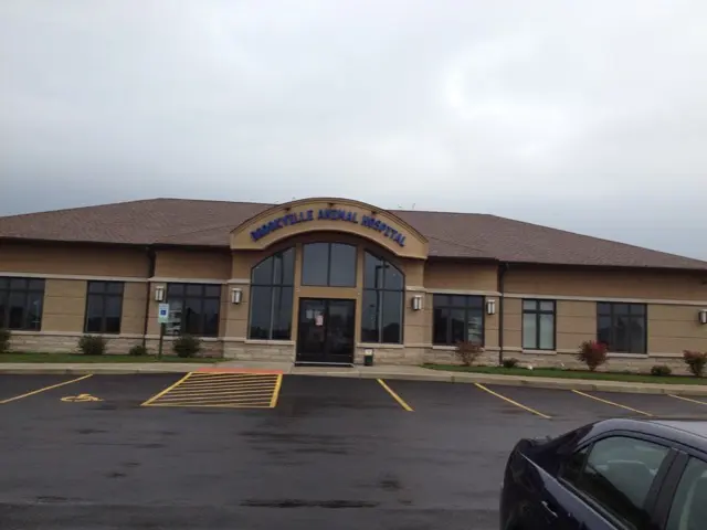 CareVet of Brookville — photo from the business 11