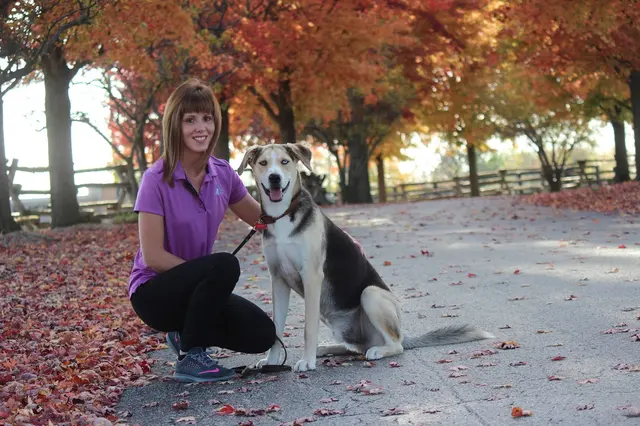 Club K9 at the Ranch — photo from the business 1