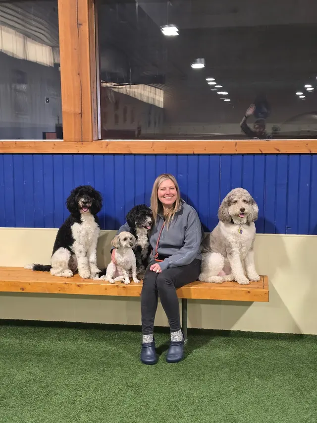 Club K9 at the Ranch — photo from the business 2