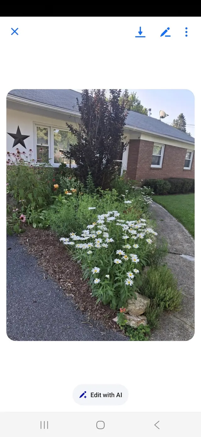 Customer photo from Carrie's review