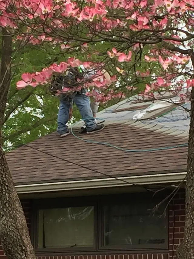 Rheam's Roofing & Remodeling — customer photo 9