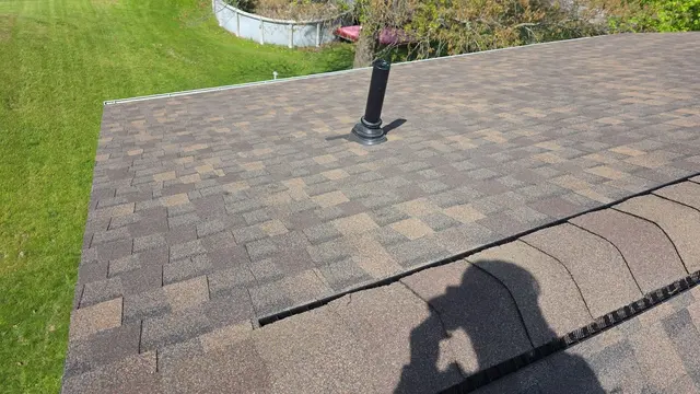 Customer photo from Roger's review