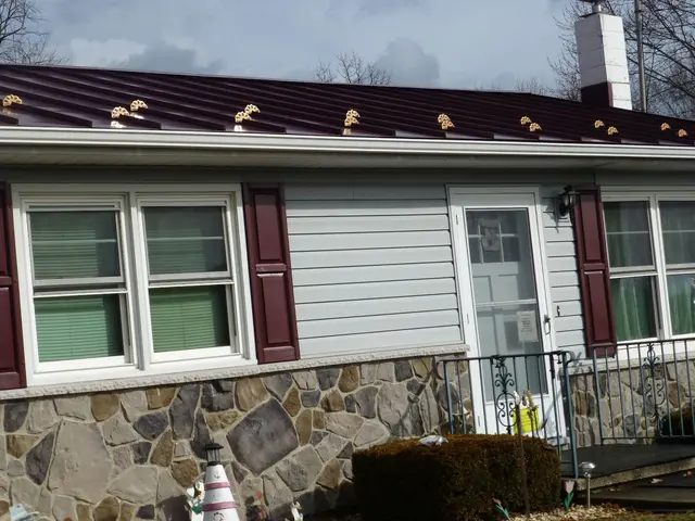 Customer photo from Glenn's review