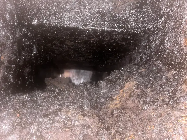 Southeastern Kitchen Exhaust Cleaning — photo from the business 11