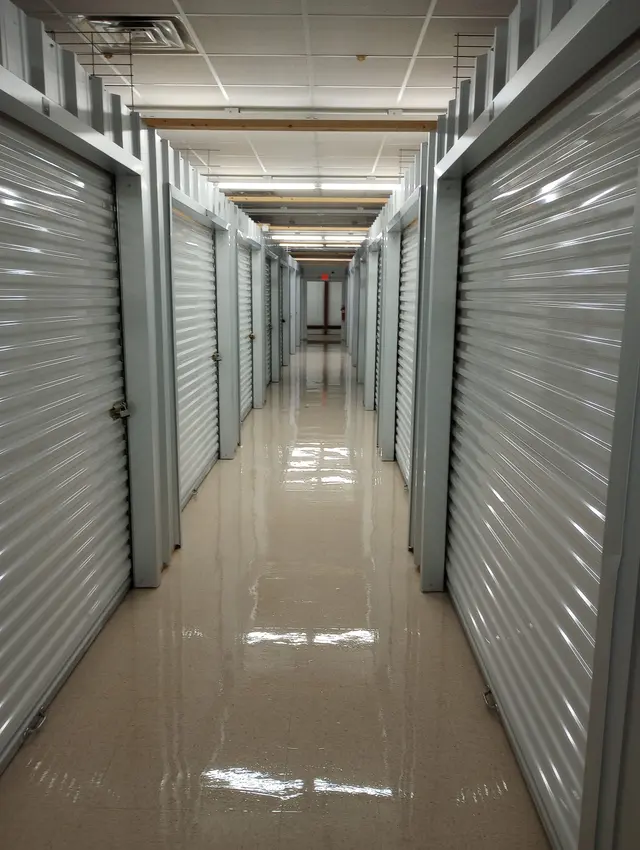 Davis Carpet Cleaning Plus — photo from the business 8