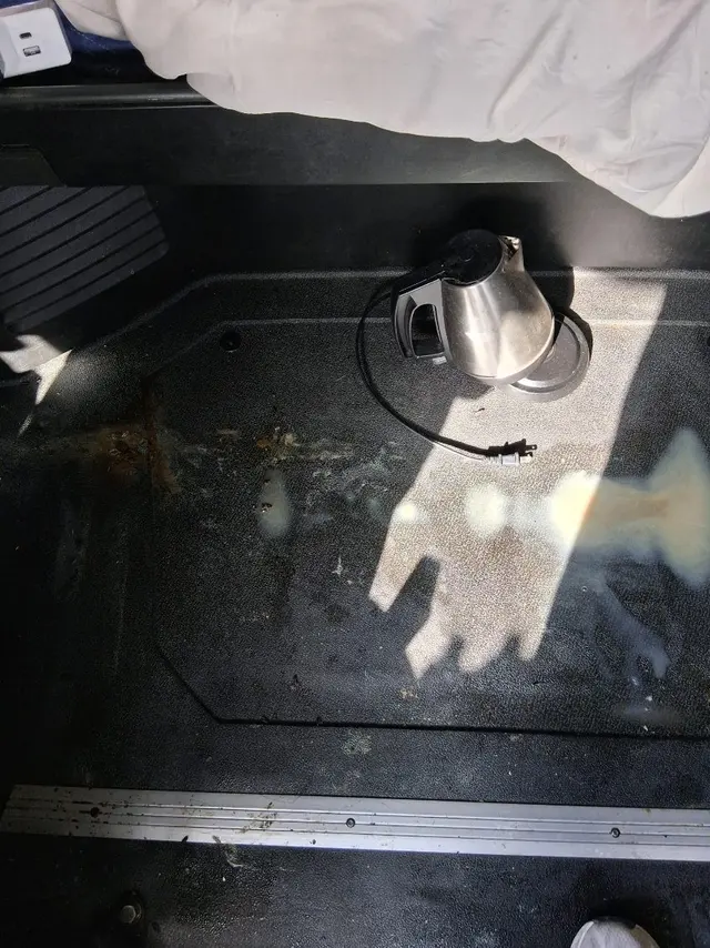 Customer photo of work by Davis Carpet Cleaning Plus, from Moondog Freight INC's review