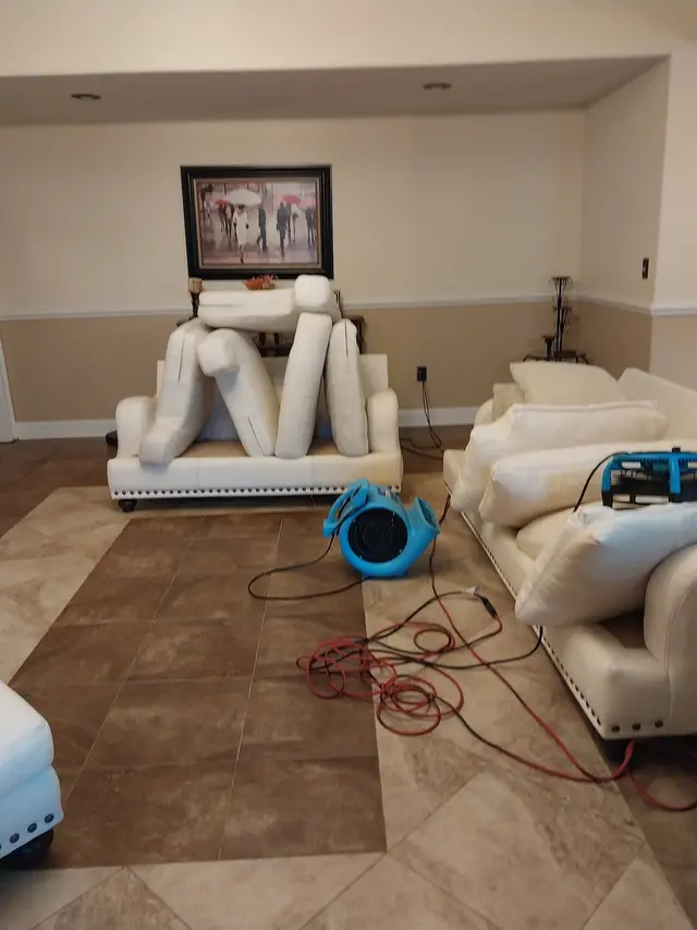 Davis Carpet Cleaning Plus — photo from the business 7