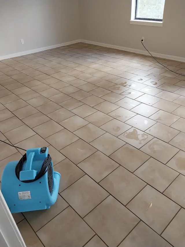Davis Carpet Cleaning Plus — photo from the business 6