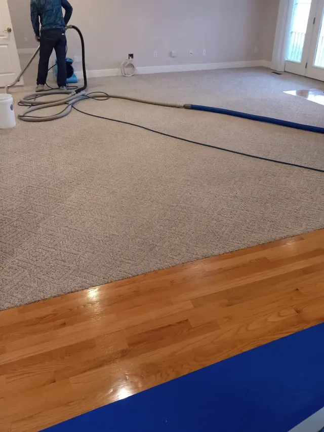Davis Carpet Cleaning Plus — photo from the business 5