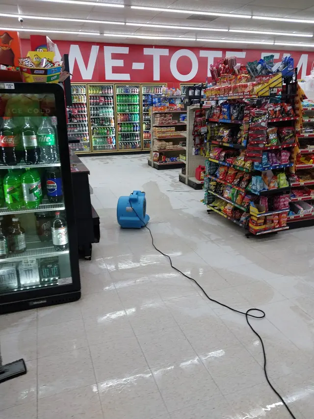 Davis Carpet Cleaning Plus — photo from the business 12