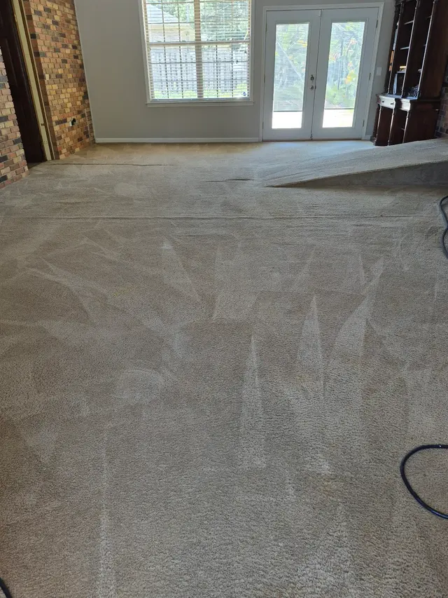 Carpet Cleaning in Cullman Alabama — photo from the business 7