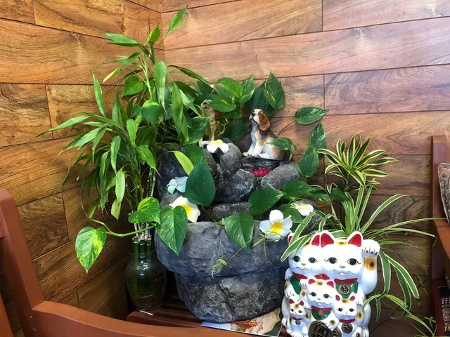 Sabaidee Thai Massage and Spa — photo from the business 8
