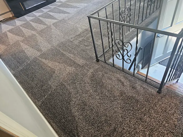 Sunshine Cleaning — customer photo 2