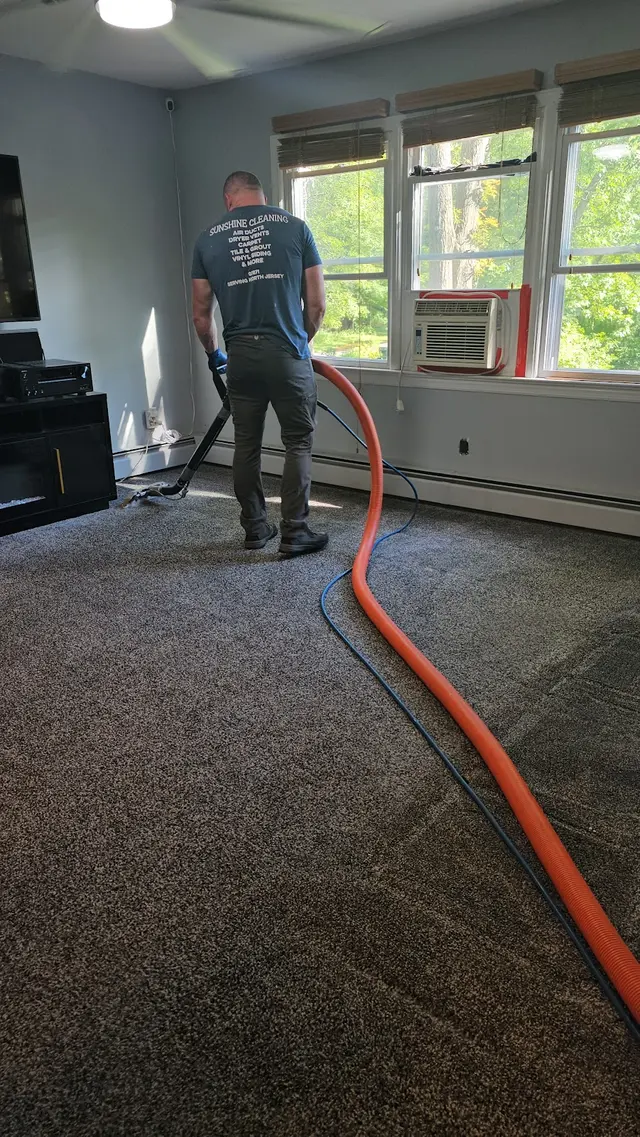 Sunshine Cleaning — customer photo 6