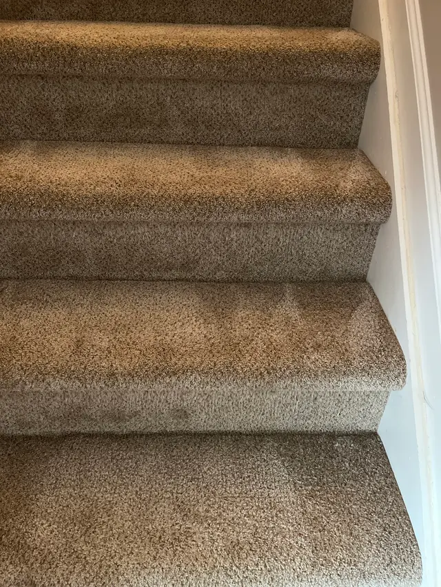 Customer photo from Gina's review