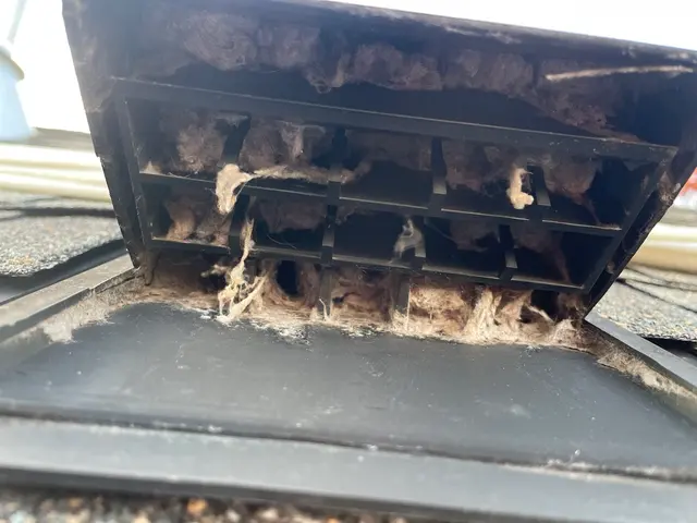 A Plus Dryer Vent Cleaning, LLC — photo from the business 12