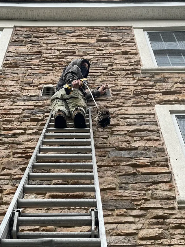 A Plus Dryer Vent Cleaning, LLC — photo from the business 3