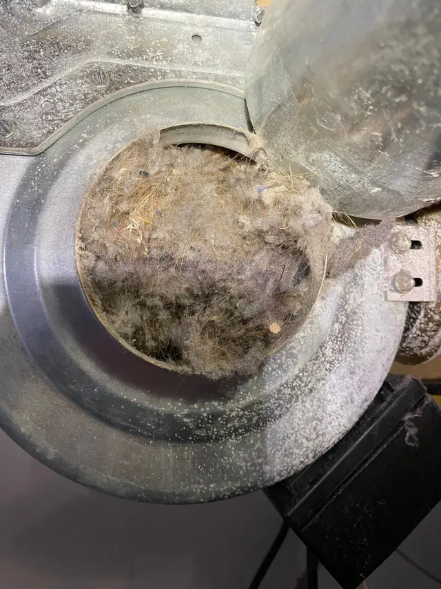 Dryer Vent Wizard of North Jersey — photo from the business 6