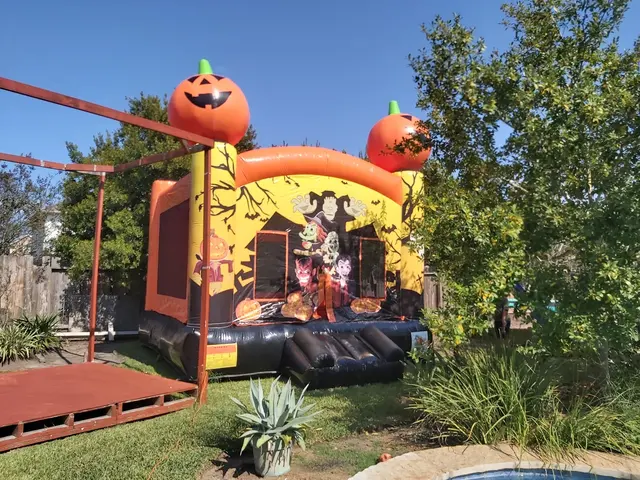 Paradise Party Rentals — photo from the business 12