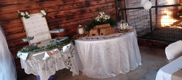 Madison’s party rental — customer photo 4