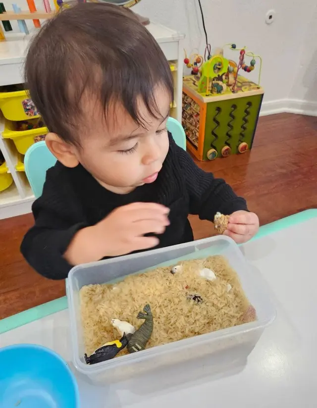 Pequeñas estrellas Spanish immersion daycare — photo from the business 8