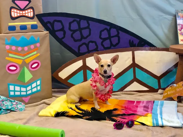 Camp Bow Wow Hutto — photo from the business 11