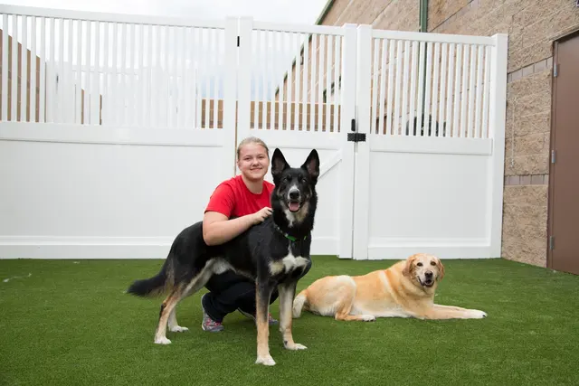 Camp Bow Wow Hutto — photo from the business 2