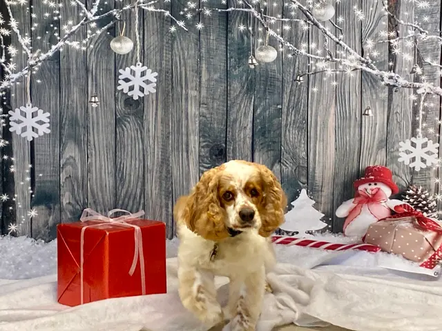 Camp Bow Wow Hutto — photo from the business 4