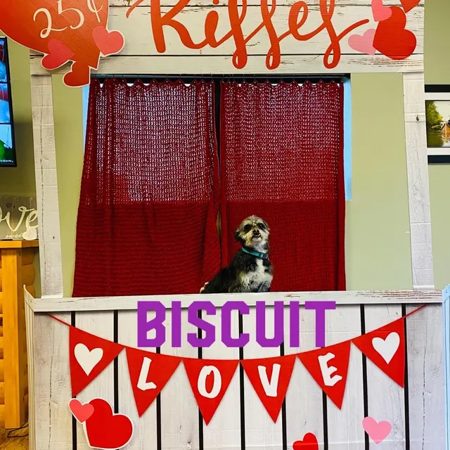 Camp Bow Wow Hutto — photo from the business 3
