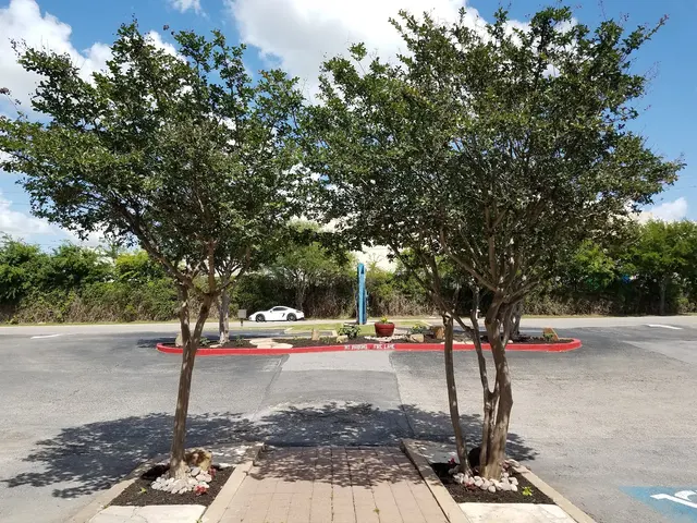 Learning Tree Day School — photo from the business 12