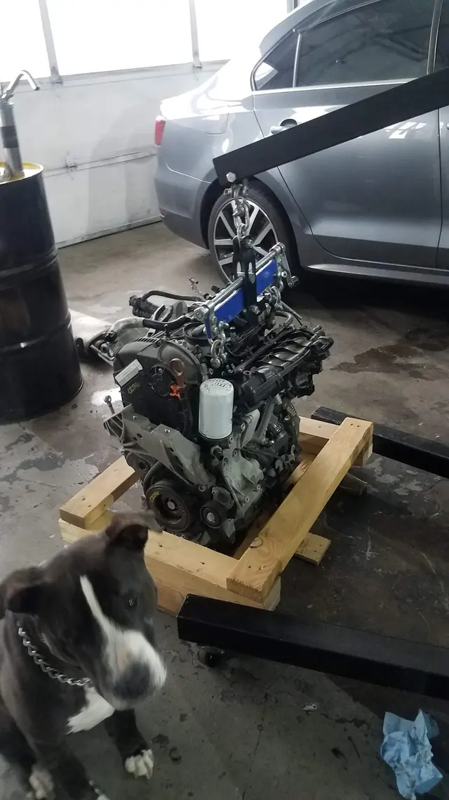 V Auto Care — photo from the business 1