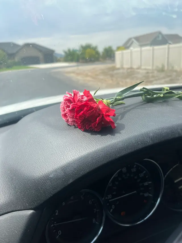 Grease Monkey — customer photo 3
