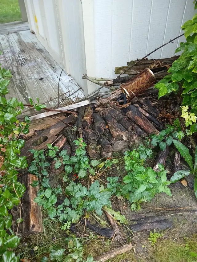 Customer photo of work by Gentle Hippo Junk Removal, from Amy Lee's review
