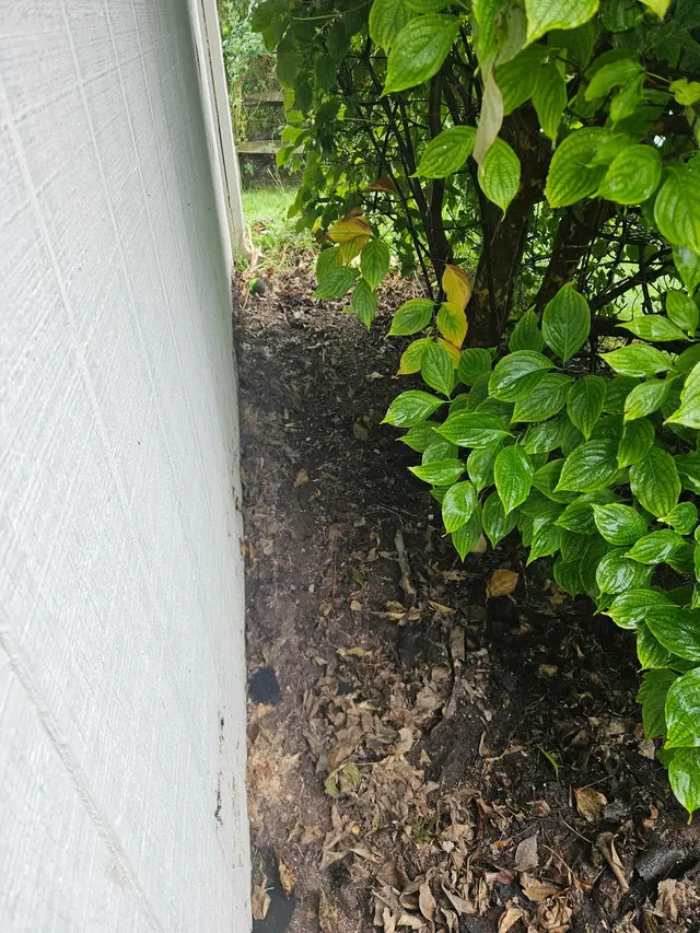 Customer photo of work by Gentle Hippo Junk Removal, from Amy Lee's review